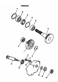 TRANSMISSION