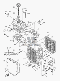 OIL COOLER